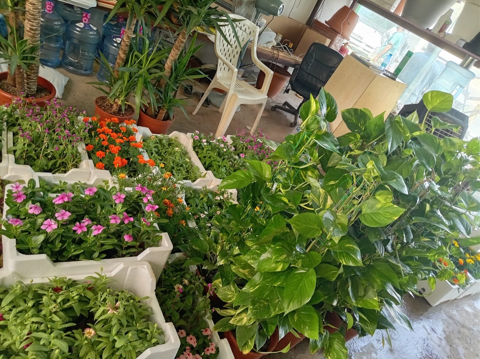 عمل تنسيق حدائق